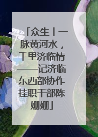众生丨一脉黄河水，千里济临情——记济临东西部协作挂职干部陈姗姗