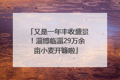 又是一年丰收盛景！淄博临淄29万余亩小麦开镰啦