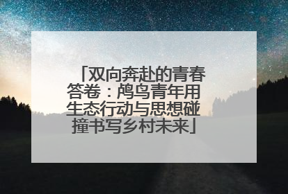 双向奔赴的青春答卷：鸬鸟青年用生态行动与思想碰撞书写乡村未来
