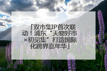 双市集IP首次联动！浦东“天物好市×初见集”打造国际化跨界嘉年华