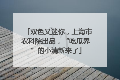 双色又迷你，上海市农科院出品，“吃瓜界”的小清新来了