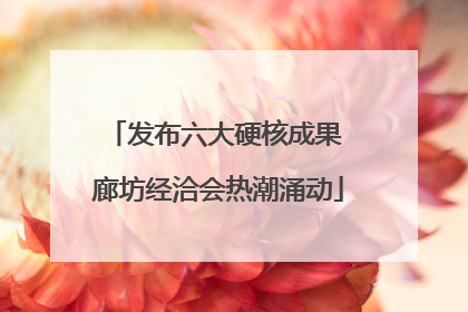 发布六大硬核成果 廊坊经洽会热潮涌动