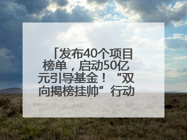 发布40个项目榜单，启动50亿元引导基金！“双向揭榜挂帅”行动成果丰硕