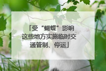 受“蝴蝶”影响 这些地方实施临时交通管制、停运