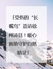 受伤的“长嘴鸟”造访徐州沛县！暖心救助守护自然精灵