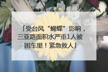 受台风“蝴蝶”影响，三亚路面积水严重1人被困车里！紧急救人