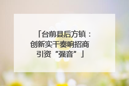 台前县后方镇：创新实干奏响招商引资“强音”