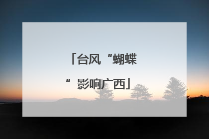 台风“蝴蝶”影响广西