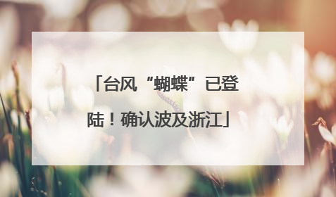 台风“蝴蝶”已登陆！确认波及浙江