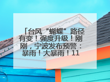 台风“蝴蝶”路径有变！强度升级！刚刚，宁波发布预警：暴雨！大暴雨！11级大风！
