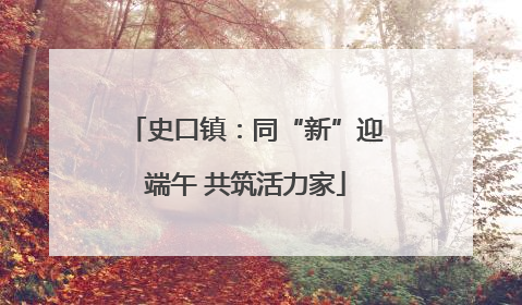 史口镇：同“新”迎端午 共筑活力家
