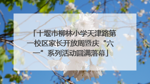 十堰市柳林小学天津路第一校区家长开放周暨庆“六一”系列活动圆满落幕