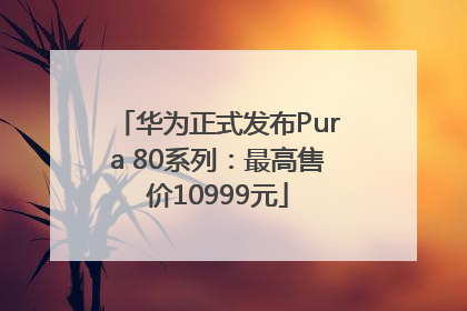 华为正式发布Pura 80系列：最高售价10999元