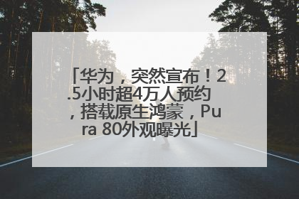 华为，突然宣布！2.5小时超4万人预约，搭载原生鸿蒙，Pura 80外观曝光