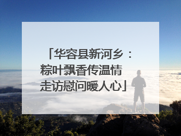 华容县新河乡：粽叶飘香传温情 走访慰问暖人心