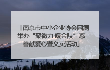 南京市中小企业协会圆满举办“聚微力·暖金陵”慈善献爱心暨义卖活动