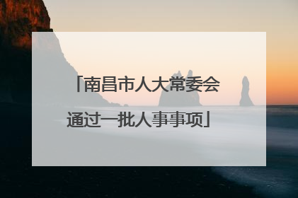 南昌市人大常委会通过一批人事事项