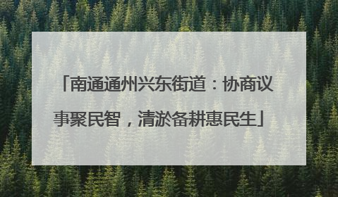 南通通州兴东街道：协商议事聚民智，清淤备耕惠民生