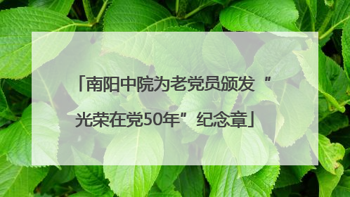 南阳中院为老党员颁发“光荣在党50年”纪念章