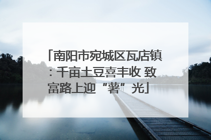 南阳市宛城区瓦店镇：千亩土豆喜丰收 致富路上迎“薯”光
