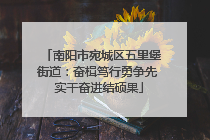 南阳市宛城区五里堡街道：奋楫笃行勇争先 实干奋进结硕果
