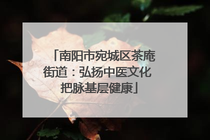 南阳市宛城区茶庵街道：弘扬中医文化 把脉基层健康