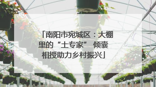 南阳市宛城区：大棚里的“土专家” 倾囊相授助力乡村振兴