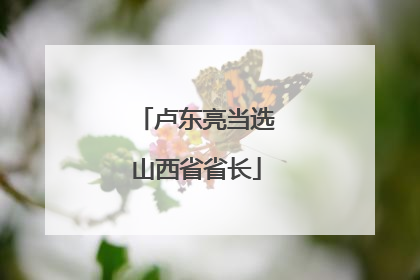 卢东亮当选山西省省长