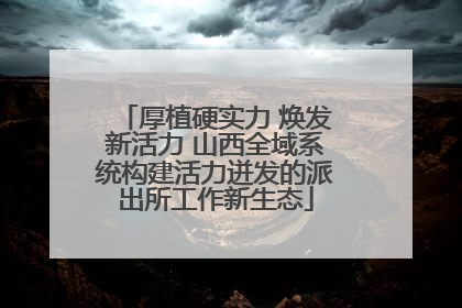 厚植硬实力 焕发新活力 山西全域系统构建活力迸发的派出所工作新生态