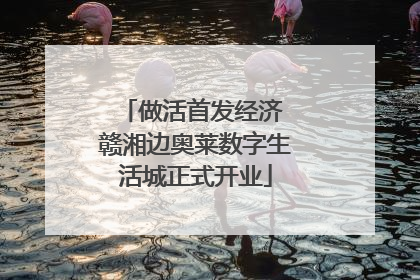 做活首发经济 赣湘边奥莱数字生活城正式开业