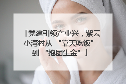 党建引领产业兴，紫云小湾村从 “靠天吃饭” 到 “抱团生金”