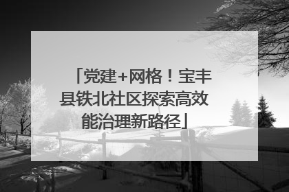 党建+网格！宝丰县铁北社区探索高效能治理新路径