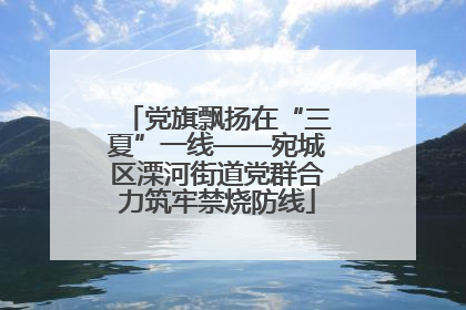 党旗飘扬在“三夏”一线——宛城区溧河街道党群合力筑牢禁烧防线