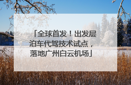 全球首发！出发层泊车代驾技术试点，落地广州白云机场