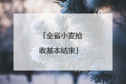 全省小麦抢收基本结束