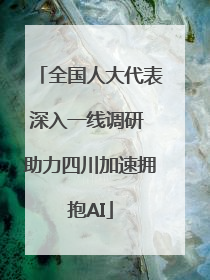 全国人大代表深入一线调研 助力四川加速拥抱AI