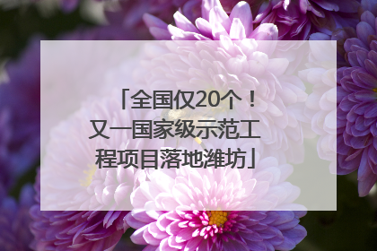 全国仅20个！又一国家级示范工程项目落地潍坊