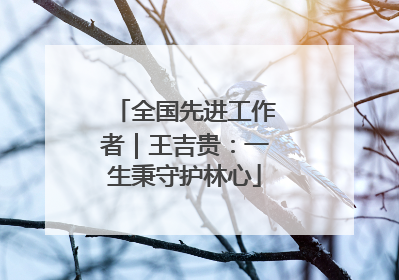 全国先进工作者｜王吉贵：一生秉守护林心