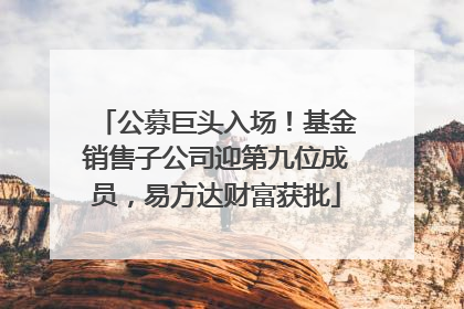 公募巨头入场！基金销售子公司迎第九位成员，易方达财富获批