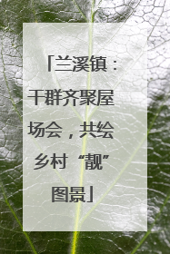 兰溪镇：干群齐聚屋场会，共绘乡村“靓”图景