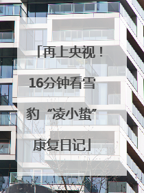 再上央视！16分钟看雪豹“凌小蛰”康复日记