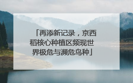 再添新记录，京西稻核心种植区频现世界极危与濒危鸟种
