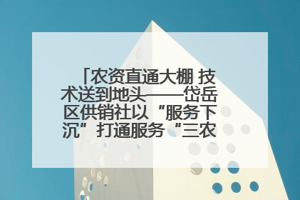 农资直通大棚 技术送到地头——岱岳区供销社以“服务下沉”打通服务“三农”最后一公里
