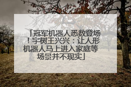 冠军机器人悉数登场！宇树王兴兴：让人形机器人马上进入家庭等场景并不现实