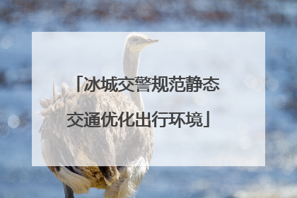 冰城交警规范静态交通优化出行环境