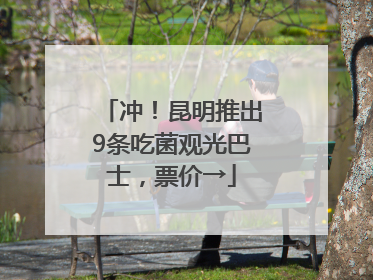 冲！昆明推出9条吃菌观光巴士，票价→