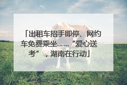 出租车招手即停、网约车免费乘坐……“爱心送考”，湖南在行动