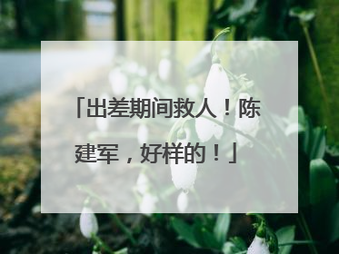 出差期间救人！陈建军，好样的！