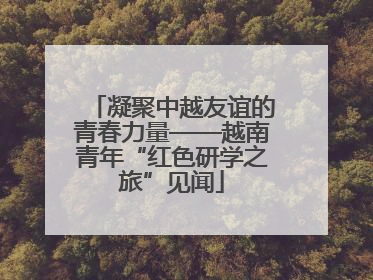 凝聚中越友谊的青春力量——越南青年“红色研学之旅”见闻