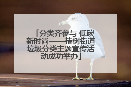 分类齐参与 低碳新时尚——椿树街道垃圾分类主题宣传活动成功举办